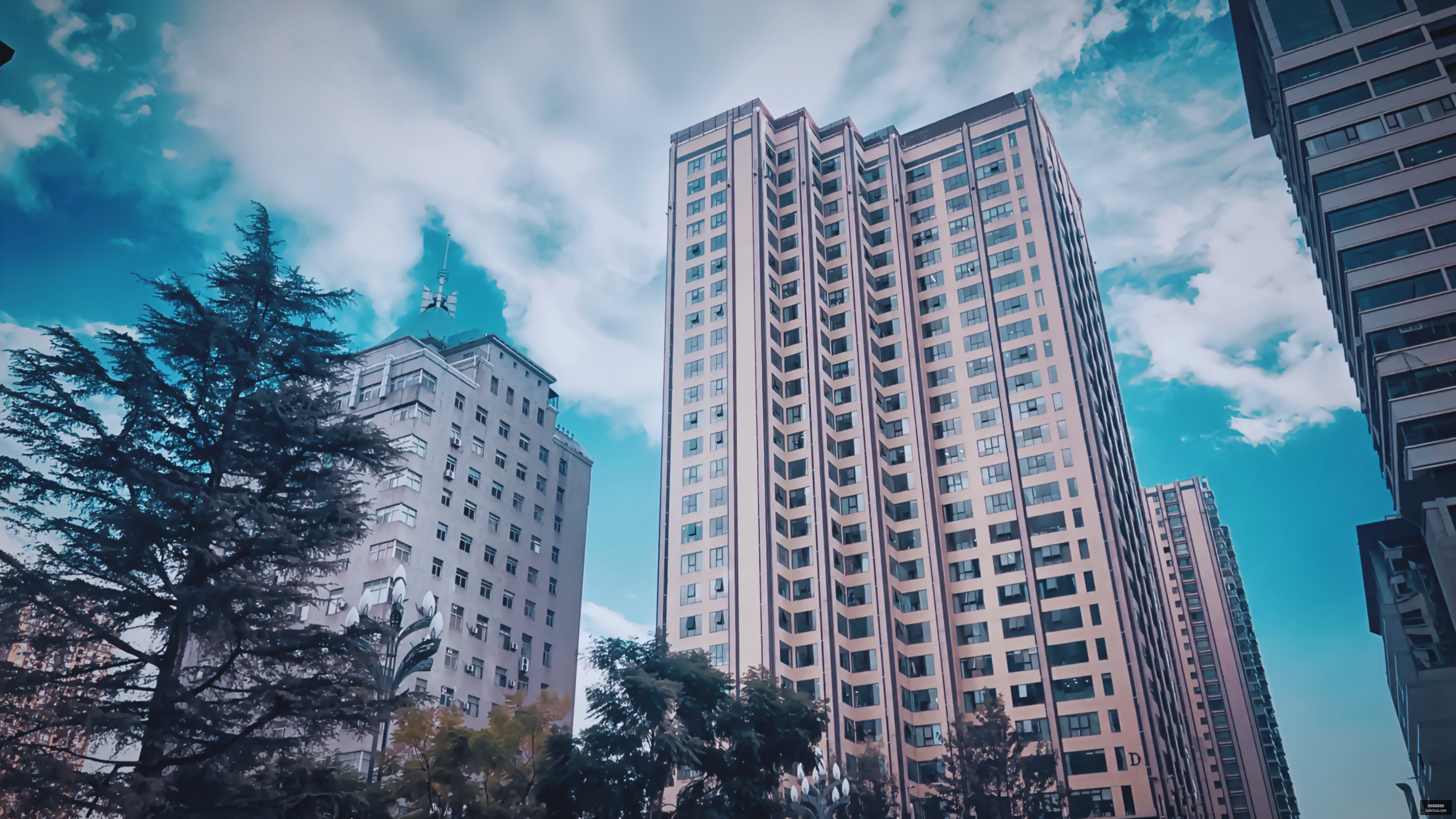 小海带货陷,警惕高价诱,导老人同情,买球大小球,大小球预测,进球数分析,体育投注方法